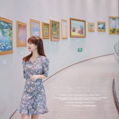 阳光里 User Photo