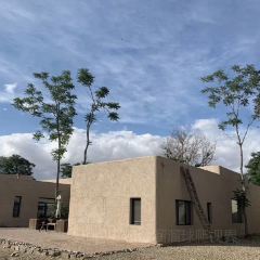 LOSTCAFE User Photo