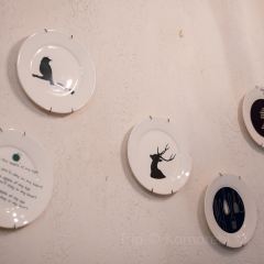 四月庭院張用戶圖片