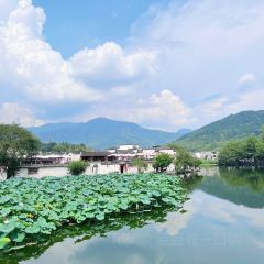 宏村得月楼(月沼店) User Photo