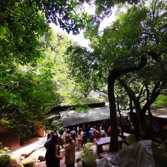 Dangoan ảnh của người dùng