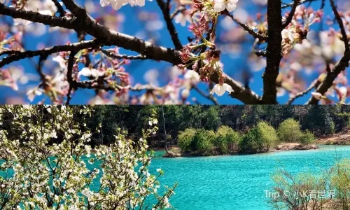 Blue Valley