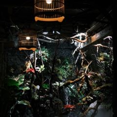 山房全景餐厅 User Photo