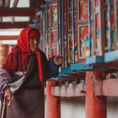 川主寺張用戶圖片