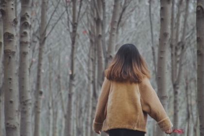 枫叶林(东方广场店)