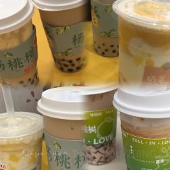 Yangtaoshujidanzai User Photo