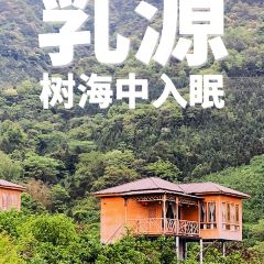 Guanlan Mountain Villa User Photo