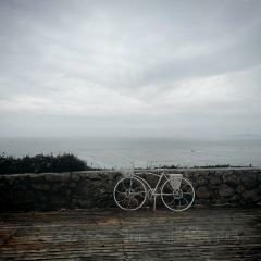 Goqi Island Quan Mo Ye Bei Sea View Restaurant User Photo