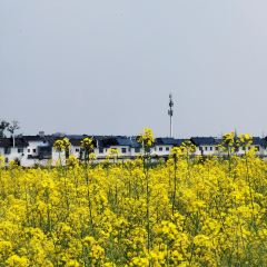 溪地阿兰若度假村落(大邑安仁古镇店)·意大利餐厅 User Photo