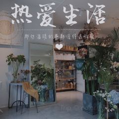 不老的花园 User Photo