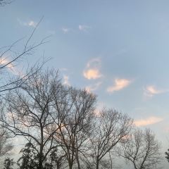 桂庭院农家乐 User Photo