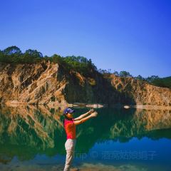 翠園農莊張用戶圖片