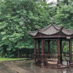 Gaojuli User Photo