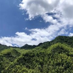 原舍揽树(松阳店)·人烟咖啡馆 User Photo