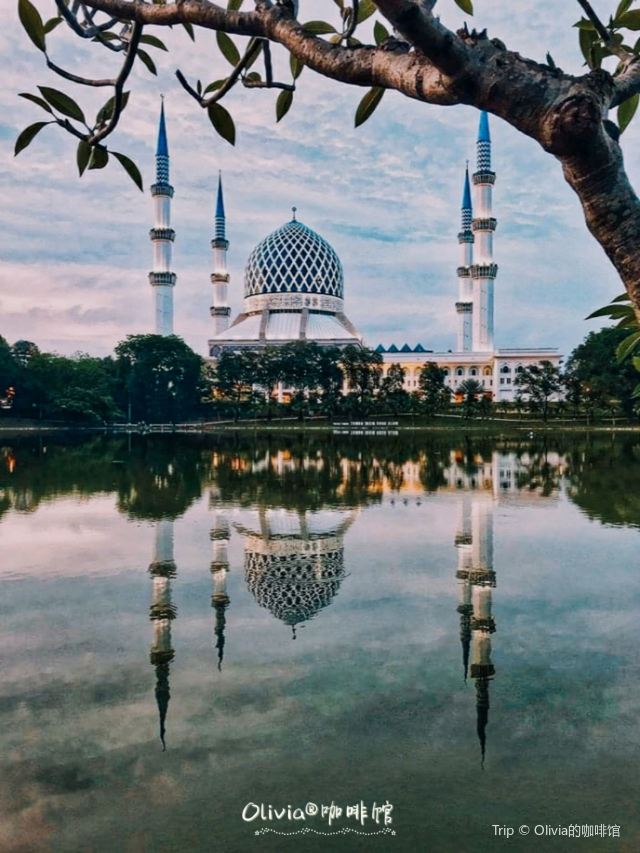 Sultan Salahuddin Abdul Aziz Shah Mosque