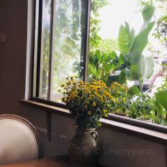 五月花cafe(岩前宝环大道店) User Photo