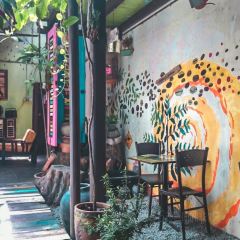 Calanthe Art Cafe User Photo