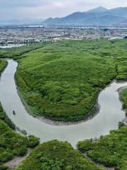 漳州紅樹林保護區 Mangrove Reserve of Zhangzhou