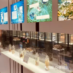 蛇口海洋博物館