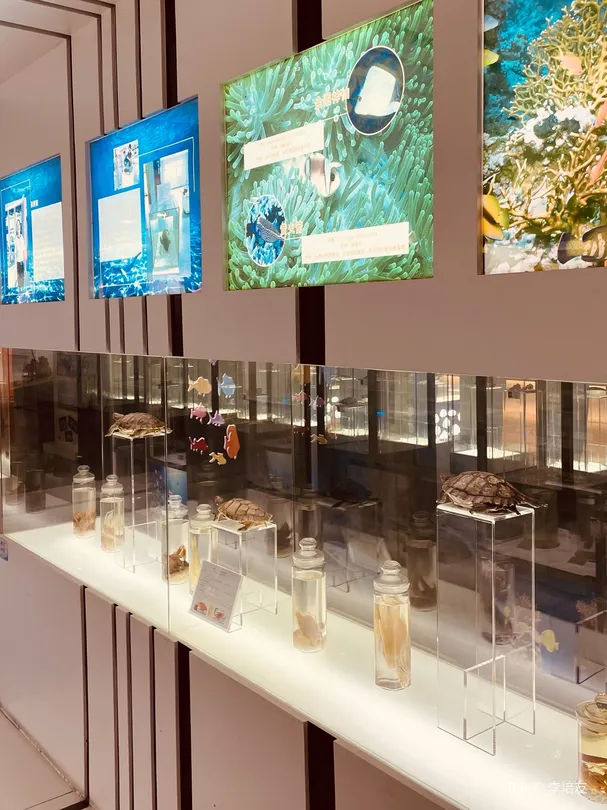 1_Shekouhaiyang Museum