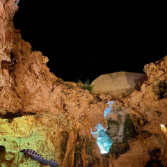 Ali Barbours Cave Restaurant張用戶圖片