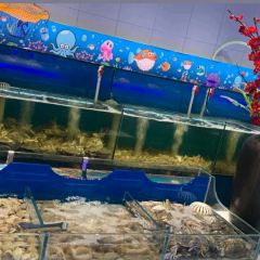 鲜海·海鲜自助(长乐金峰店) User Photo