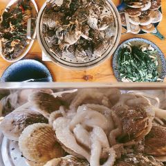 桃源活羊馆(二部) User Photo