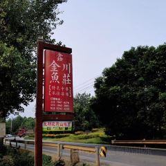 鑫金川鱼庄 User Photo