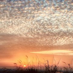 花果山姚姚土窯雞場張用戶圖片