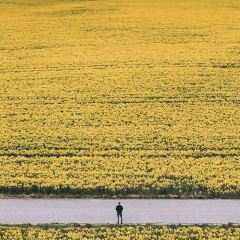 斯科納花園麵包餐廳(海岸城店)張用戶圖片