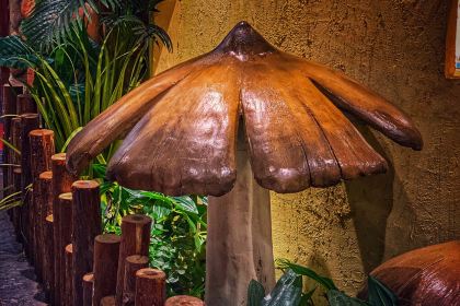 JUNCAI WILD MUSHROOM HOT POT