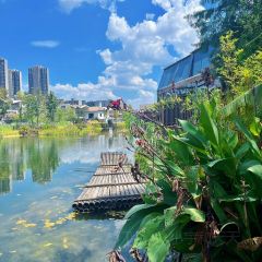 西湖鱼港(溪悦荟店) User Photo