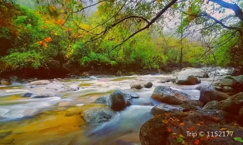 Taibai Qingfengxia Forest Park