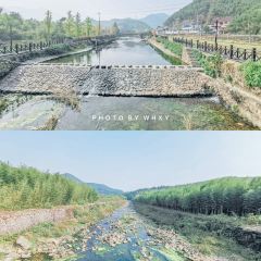 后街土菜馆 User Photo