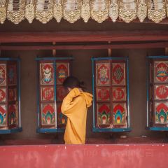 川主寺張用戶圖片
