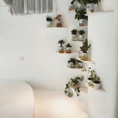 弱水三千(罗源店) User Photo