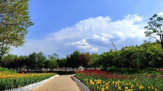 走进秦岭国家植物园的郁金香园地，放眼望去，五彩缤纷，色彩夺目