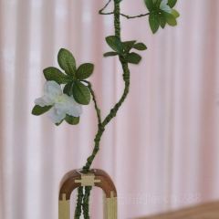 个园私厨 User Photo