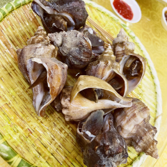 集家旺餐厅(银湖湾店) User Photo