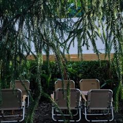 Wild Coffee Studio User Photo
