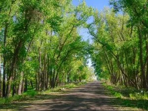 Rocky Mountain Arsenal National Wildlife Refuge