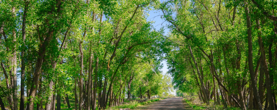 Rocky Mountain Arsenal National Wildlife Refuge
