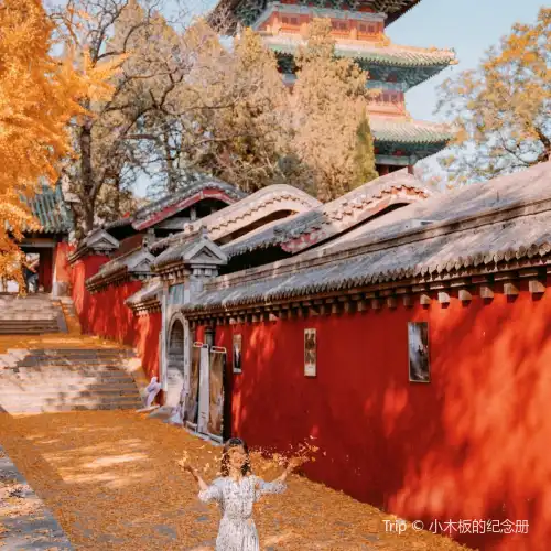Top 20 Fall Viewing Attractions in Zhengzhou