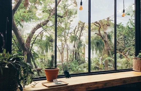 หมอก คาเฟ่ (Mok cafe)