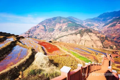 Xinshan Terraces