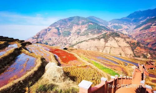 Xinshan Terraces