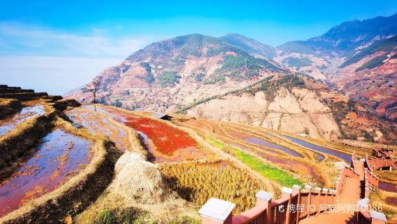 Xinshan Terraced Fields