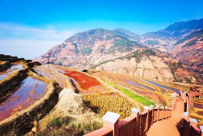 Xinshan Terraced Fields
