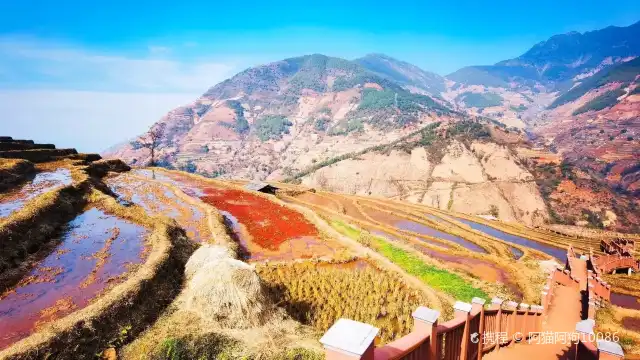 Xinshan Terraced Fields