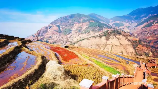 Xinshan Terraced Fields